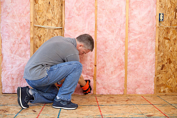 Best Insulation for Specific Applications in Sandy Valley, NV